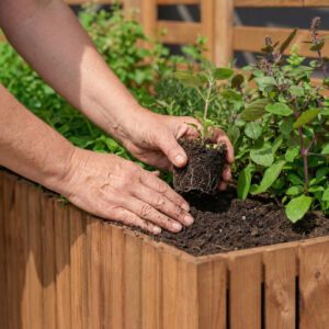 Ogród w zgodzie z naturą – dlaczego warto postawić na produkty Homerzo?